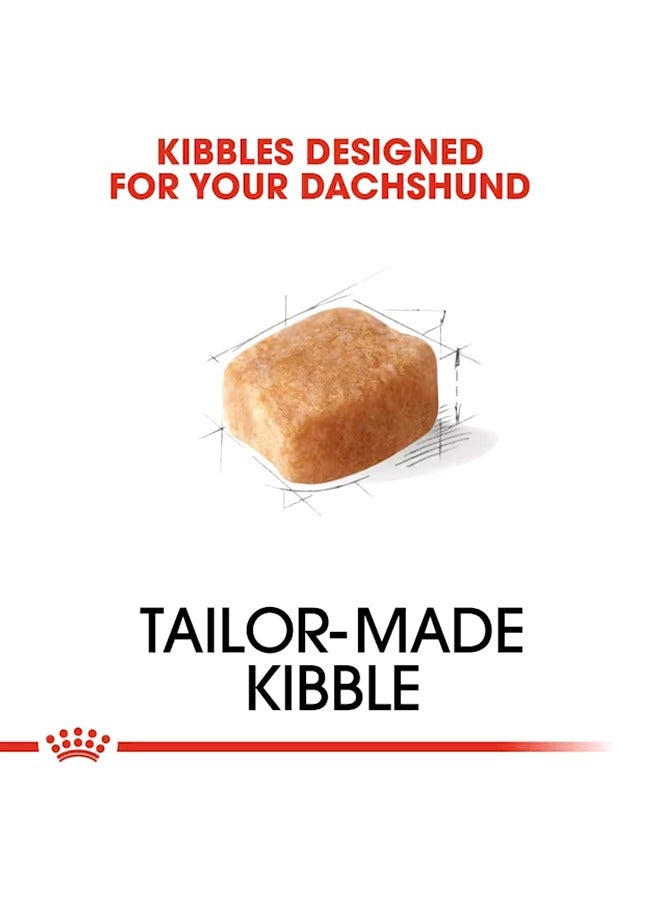 رويال كانين كلب ألماني بالغ - 1.5 كجم - Image 4