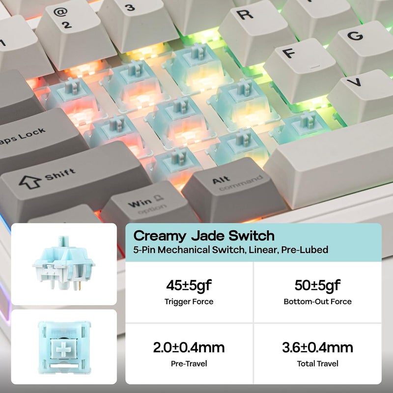 EPOMAKER TH80 V2 75% Wireless Mechanical Keyboard with Metal Knob, 8000mAh, 2.4Ghz/BT/USB-C, RGB, Hot Swap, Custom Driver, PBT Keycap, Wireless Gaming Keyboard for PC/Mac (White, Creamy Jade) - Image 5