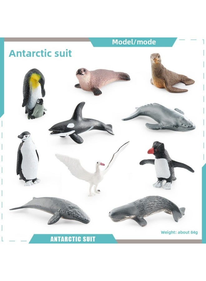 Simulation Whale Shark Tiger Shark Blue Whale Marine Biological Model Deep Sea Prehistoric Ancient Deng's Fish Trilobite Animal Model-Color:BL-1207 Antarctic Suit 84g  - Image 1