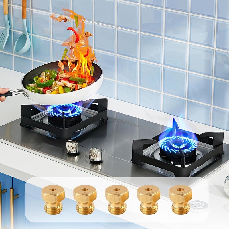 NGUIT 10 Universal Butane Gas Sprinkler Conversion Kit Gas Injector Sprinkler Bottle for Gas Stove Burner Propane LPG Burner Bottle Nozzle Burner 0.5mm*2 0.7mm*4 0.86mm*2 1.02mm*2 All-round well-engineered practical build - Image 5