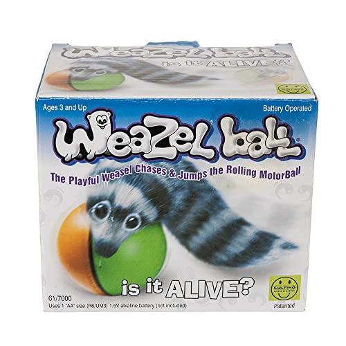 D.Y. TOY - The Original Weasel Ball, Interactive Motion Toy - Image 3
