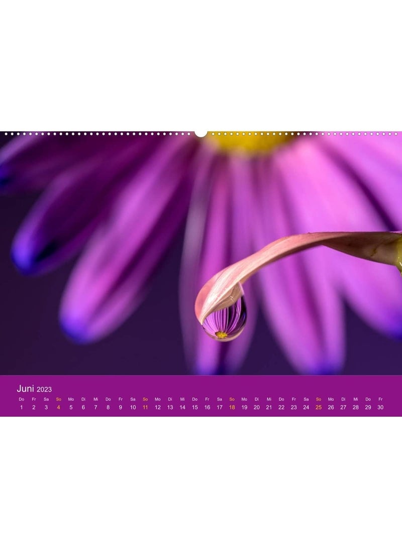 ستريكس بروفيشنال سيروم الشعر الاحترافي ستريكس فيتاريش جلوس - شعر ناعم، أملس، ولامع - 45 مل - Image 4