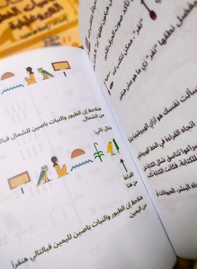 The book is "useful" for teaching the basics of hieroglyphic scripts in a simplified way  - Image 3