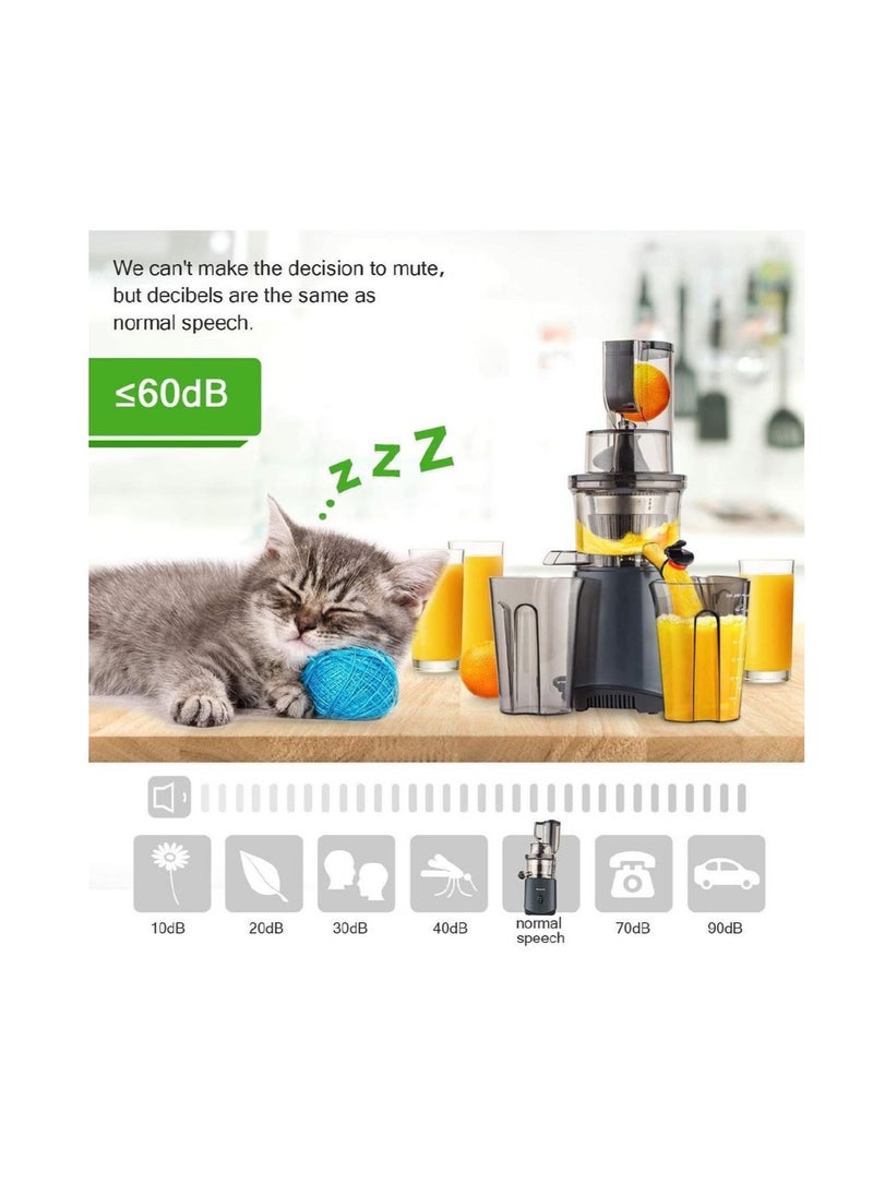 Generic - Slow Masticating Juicer, Cold Press Juicer Machine, Easy to Clean, Higher Yield, Drier Pulp, Quiet Motor - Image 1