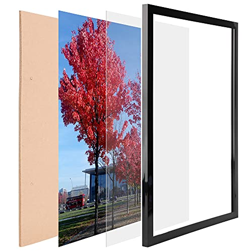 Medog 8x10 Picture Frame Set of 2,Document Certificate Frames, Display Pictures 8x10 Picture Photo Frame - Image 3