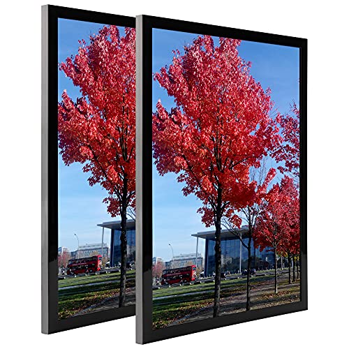 Medog 8x10 Picture Frame Set of 2,Document Certificate Frames, Display Pictures 8x10 Picture Photo Frame - Image 4