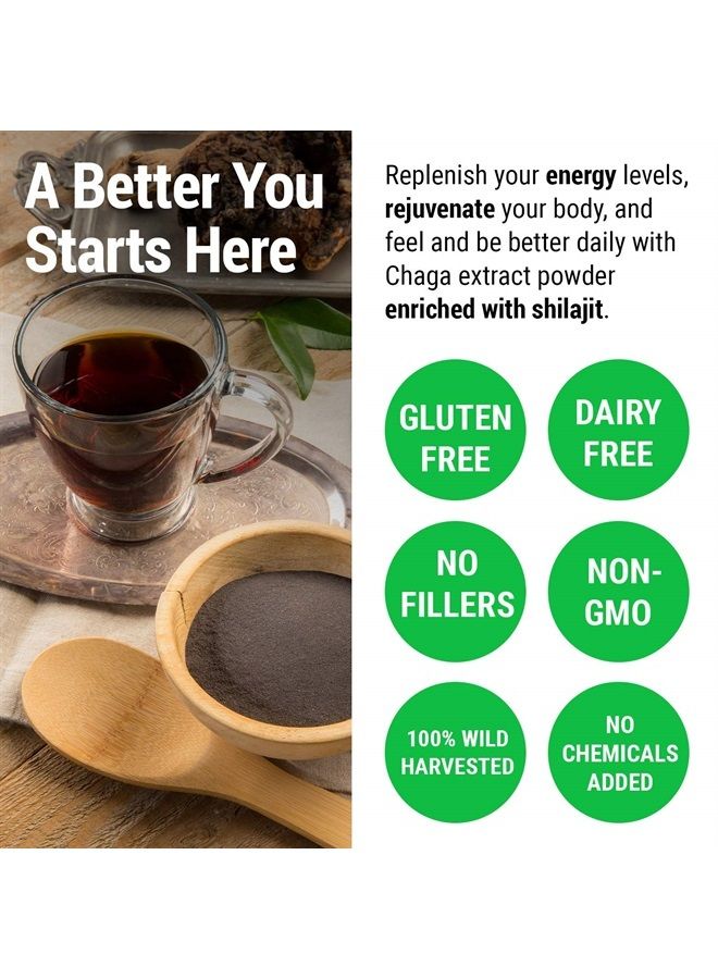 sayan Siberian Chaga Mushroom Extract with Shilajit Powder 4Oz/113g- a Powerful Antioxidant Fulvic Acid Supplement & Immune System Health Booster - Image 5