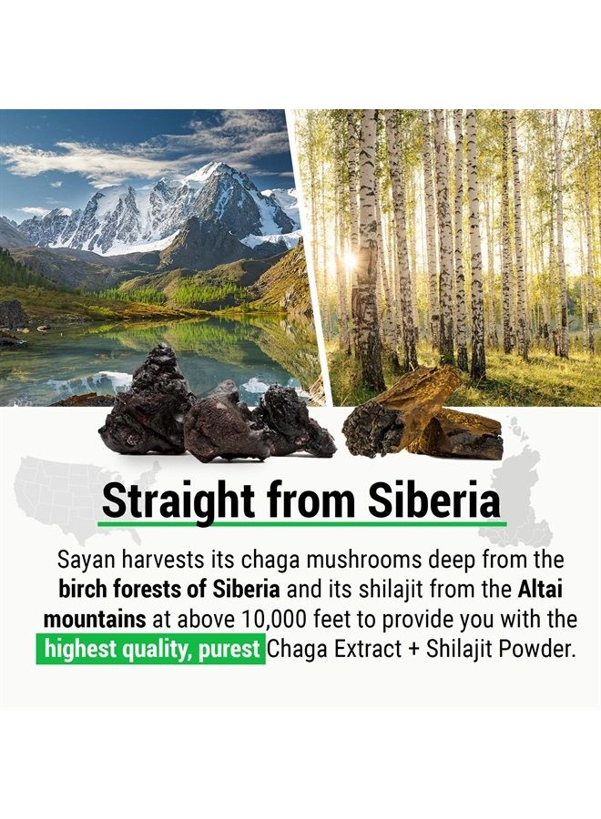 sayan Siberian Chaga Mushroom Extract with Shilajit Powder 4Oz/113g- a Powerful Antioxidant Fulvic Acid Supplement & Immune System Health Booster - Image 4