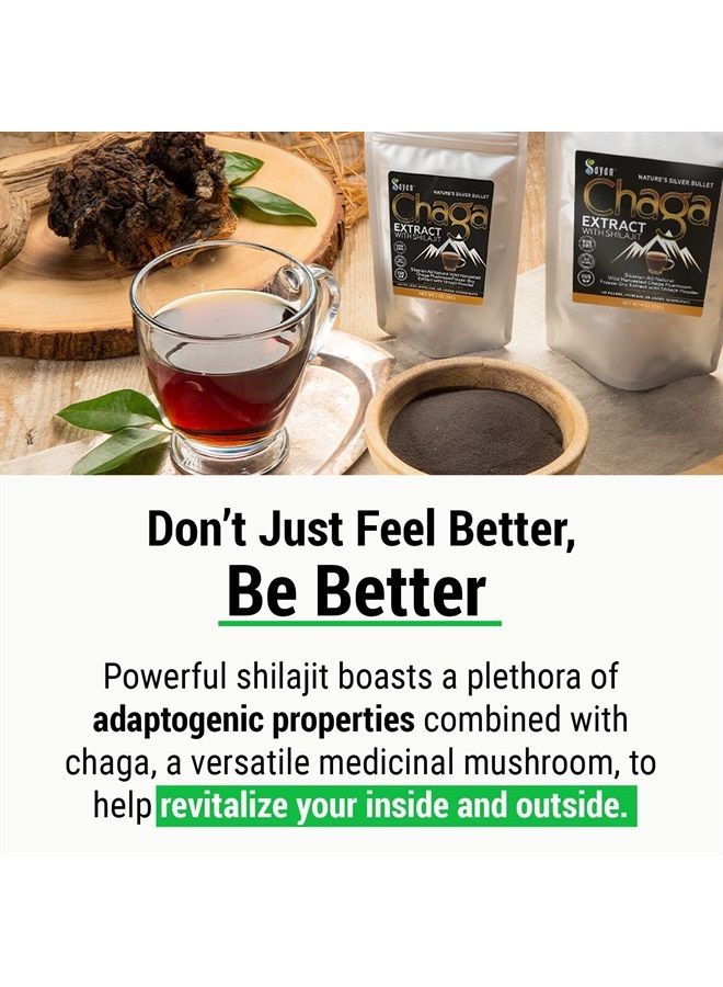 sayan Siberian Chaga Mushroom Extract with Shilajit Powder 4Oz/113g- a Powerful Antioxidant Fulvic Acid Supplement & Immune System Health Booster - Image 3