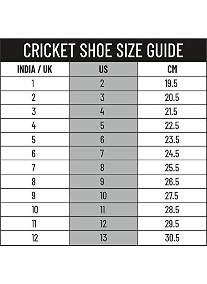 DSC - Beamer Cricket Shoes | For Boys and Men | Light Weight | Durable| Size 7 UK - Image 1