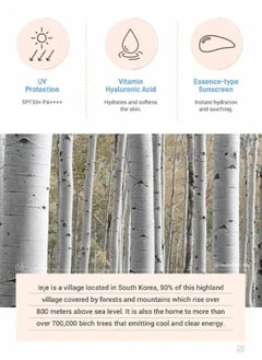 Round Lab Birch Juice Moisturizing Sun Cream,SPF50+ Whiening Sunscreen,Brightening & Refreshing UV Protector,Waterproof Strong Hydrating Cream For Women Men 50ml  - Image 2