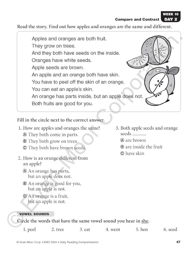 Daily Reading Comprehension, Grade 1 Student Edition Workbook  - Image 3