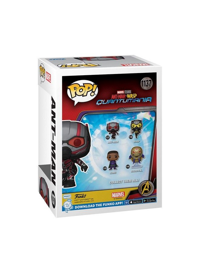 Funko Pop! Marvel: Ant Man And The Wasp: Quantumania Ant Man - Image 4