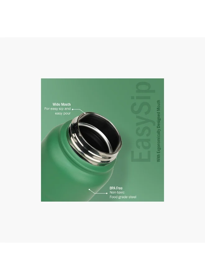 Briiton 750ML SS INSULATED BOTTLE