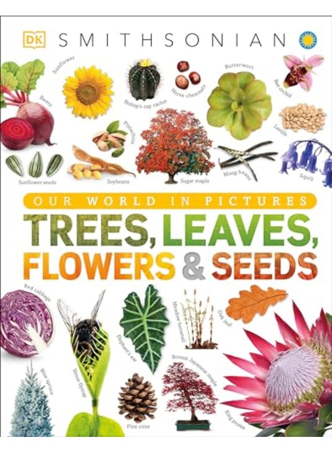 Trees Leaves Flowers And Seeds A Visual Encyclopedia Of The Plant Kingdom