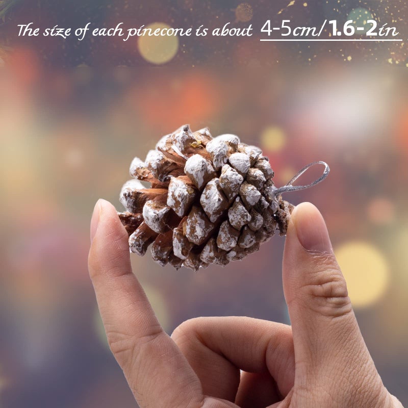 Apragaz 24pcs Christmas Pine Cones  Natural Pinecones Ornaments With String  Large Christmas Tree Pine Cones 4-5cm  Snow Pinecones for Christmas Tree  Gift Tag  Garland  Wreaths  Xmas Craft Hanging Decoration - Image 2