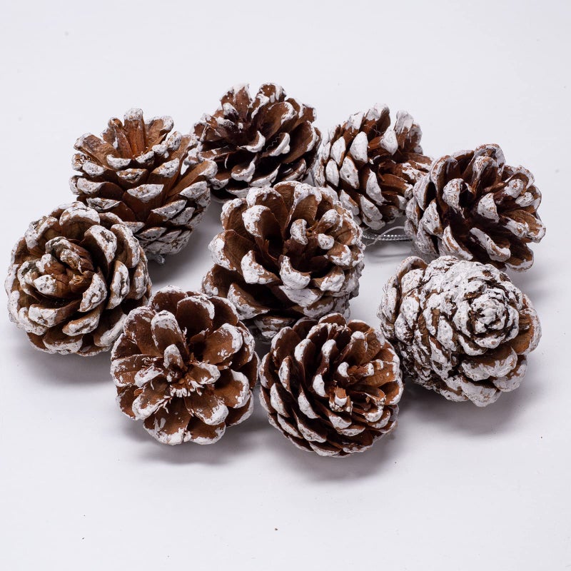Apragaz 24pcs Christmas Pine Cones  Natural Pinecones Ornaments With String  Large Christmas Tree Pine Cones 4-5cm  Snow Pinecones for Christmas Tree  Gift Tag  Garland  Wreaths  Xmas Craft Hanging Decoration - Image 1
