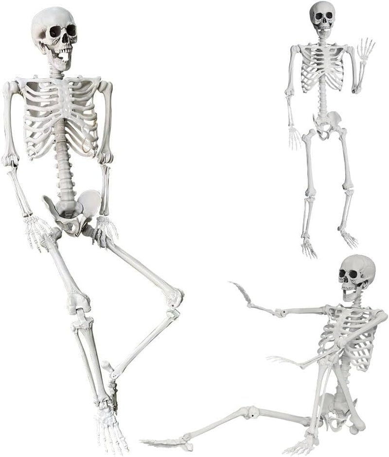LUDALY 54Ft165cm Halloween Skeleton Full Body Life Size Human Bones with Movable Joints for Indoor Outdoor Halloween Props Decorations