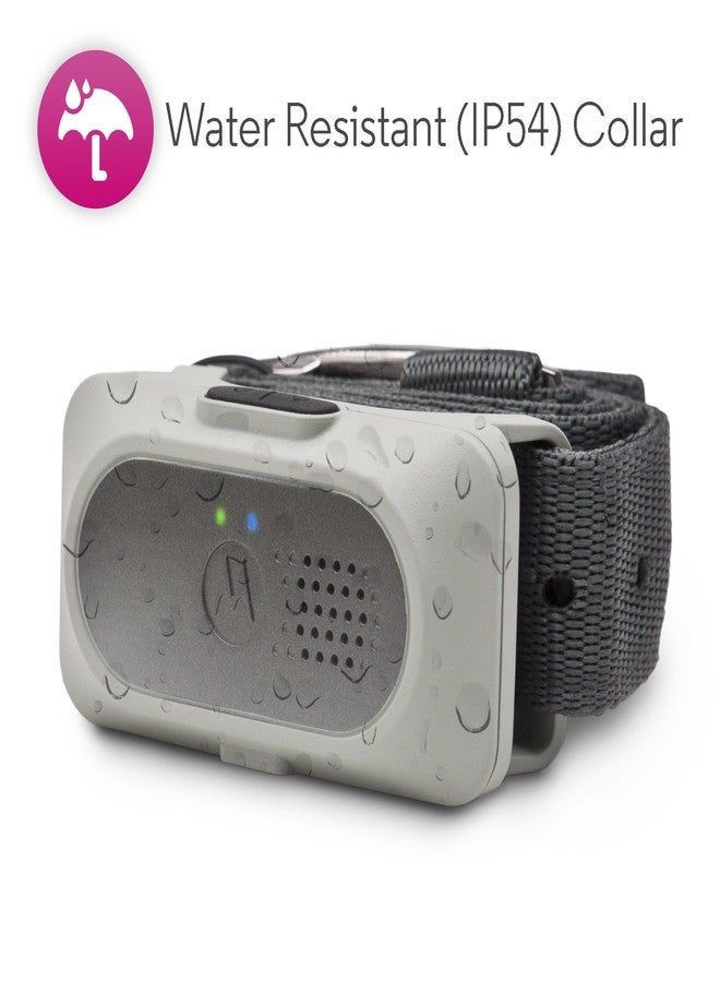 Motorola Pet Rechargeable Advanced Remote Training System with 3 Training Modes and Verbal Correction using Push-to-Talk Feature - Image 3