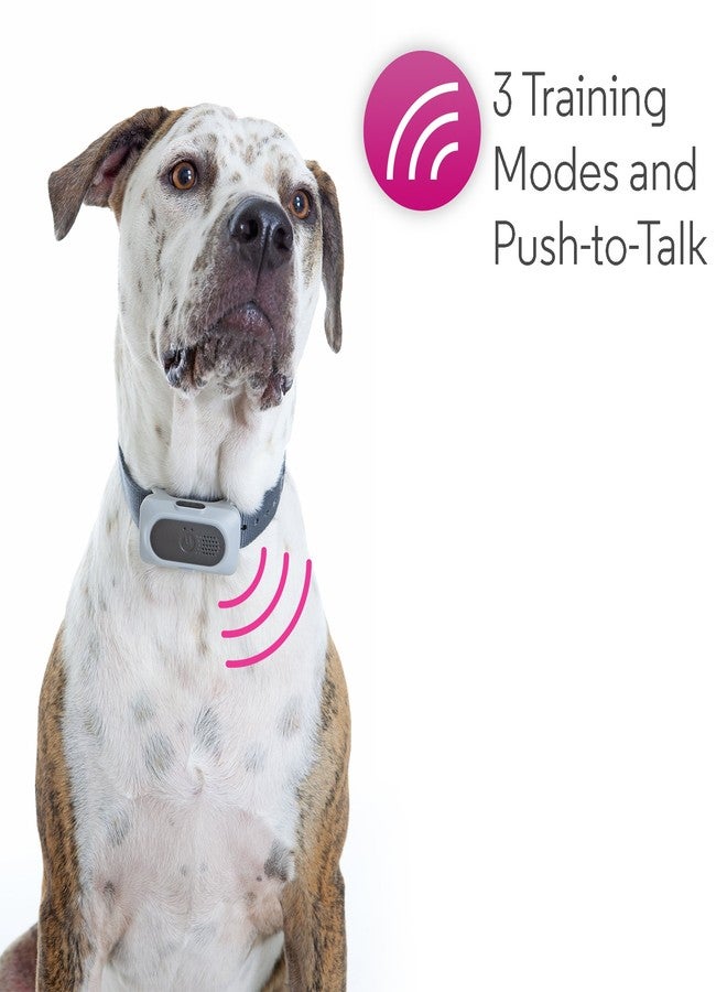 Motorola Pet Rechargeable Advanced Remote Training System with 3 Training Modes and Verbal Correction using Push-to-Talk Feature - Image 2