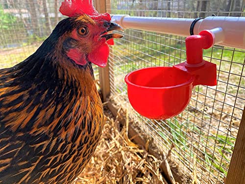 letsFix Automatic Chicken Watering System with PVC Pipe (Real Complete Set Pipeline) - 1/2" PVC Tee Fittings & Pipe & Garden Hose Connect to Water Tank, Automatic Poultry Waterer Feeder Kit - Image 4