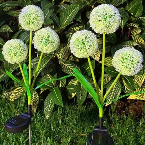 GIGAWATTS GW-919 Dandelion Solar Garden Light | 36 LED Solar Light Outdoor Garden with 600mAh Battery, IP65 Waterproof Garden Solar Lights for Lawn & Patio Decoration (Pack of 1, Multicolour) - Image 4