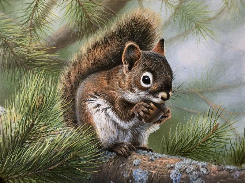 FunBlast FunBlast 5D Diamond Painting Kit 12x16inch Diamond Painting Kit for Adults Kids Suitable for Home Leisure and Wall Decoration Gift for Kids and Adults Squirrel  - Image 1