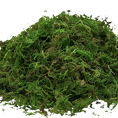 USMOLA Artificial Moss, 16OZ Fake Moss for Crafts, Decorative Centerpieces, Fairy Garden, Wedding Party Decor, Faux Potted Plants, 455gr (Fresh Green) - Image 4