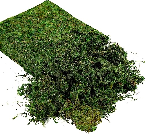 USMOLA Artificial Moss, 16OZ Fake Moss for Crafts, Decorative Centerpieces, Fairy Garden, Wedding Party Decor, Faux Potted Plants, 455gr (Fresh Green) - Image 3