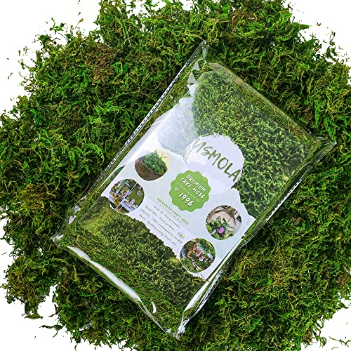 USMOLA Artificial Moss, 16OZ Fake Moss for Crafts, Decorative Centerpieces, Fairy Garden, Wedding Party Decor, Faux Potted Plants, 455gr (Fresh Green) - Image 2