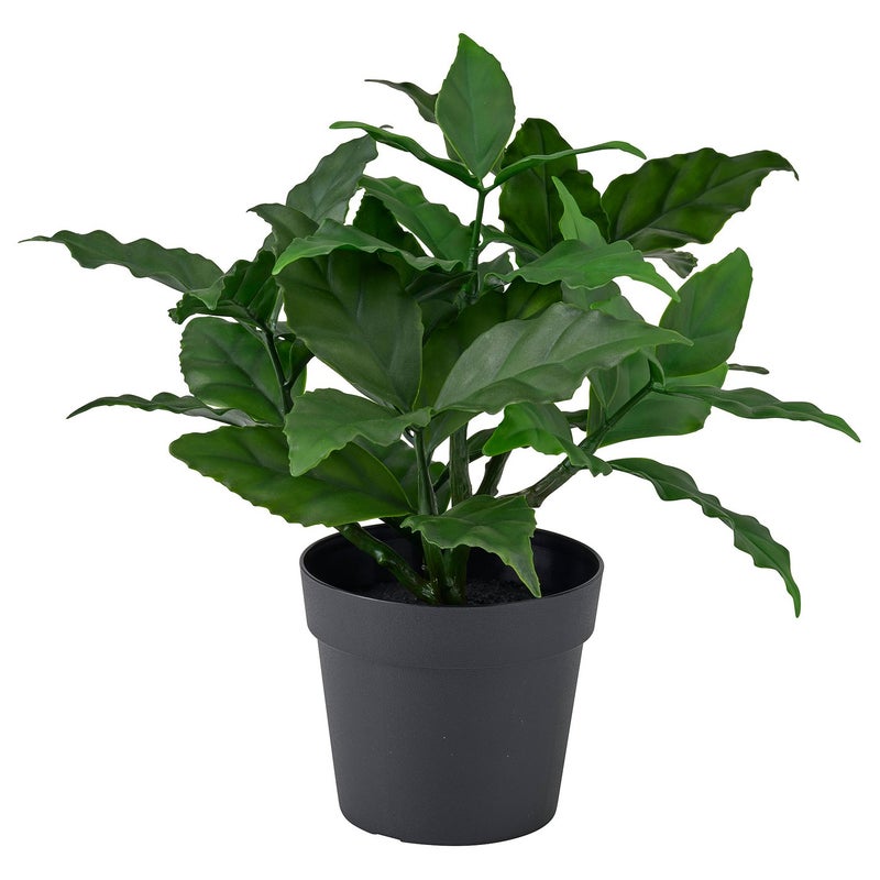 FEJKA Artificial Potted Sweet Bay Plant, Green, 9 cm Pot - Image 1