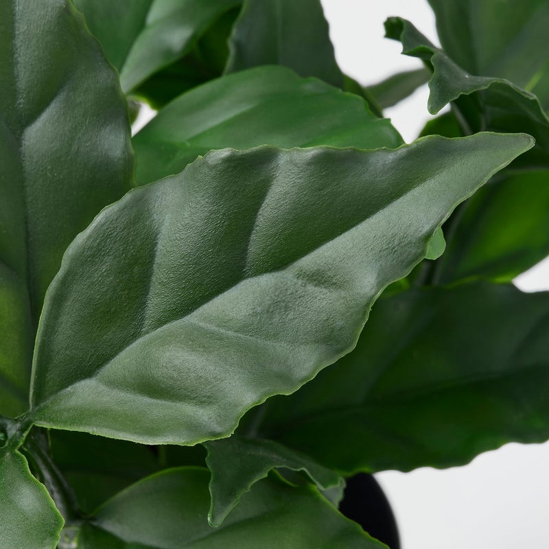FEJKA Artificial Potted Sweet Bay Plant, Green, 9 cm Pot - Image 3
