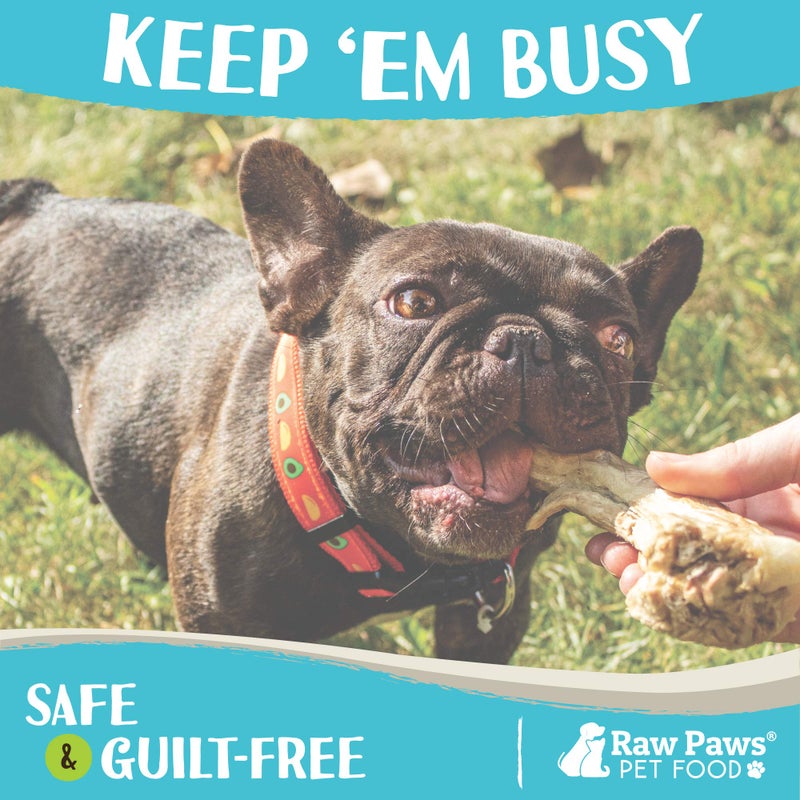 Raw Paws Freeze Dried Duck Necks for Dogs, 5-oz - Made in USA - All Natural Duck Dog Treats - Single Ingredient - Image 5