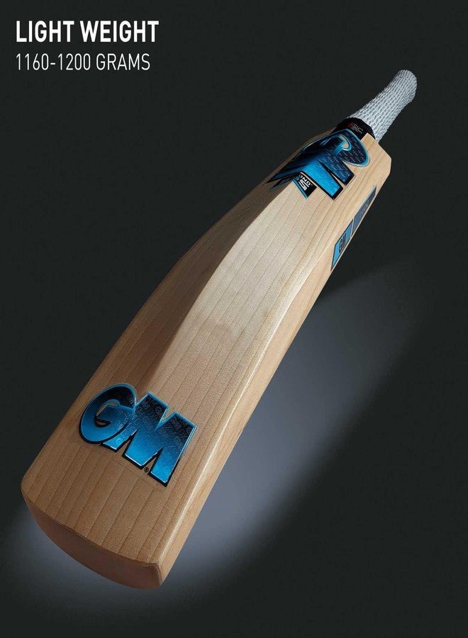 ACMS G.M Diamond Blue English Willow Full Size Short Handle Cricket Bat - Image 3