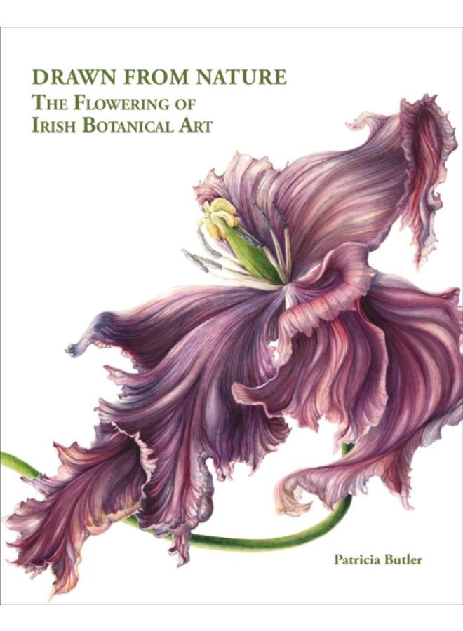 Drawn From Nature : The Flowering of Irish Botanical Art 