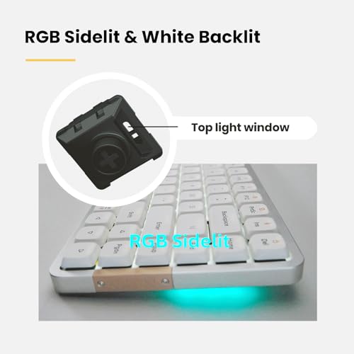 LOFREE Flow Low Profile Mechanical Keyboard, 100 Keys Rechargeable Wireless Keyboards with Bluetooth and Wired Connection for Windows, Mac OS/Black Phantom Tactile Switches - Image 5