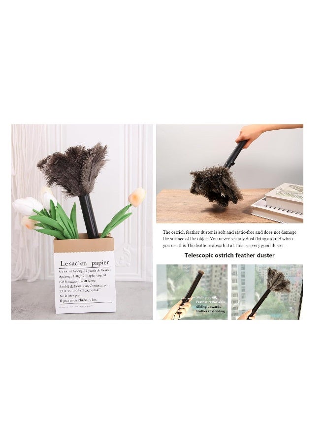 Beauenty 2 Pcs Retractable Ostrich Feather Duster for Cleaning Fluffy and Natural Feather Duster with Retractable Handle Reusable Eco-Friendly Handheld Cleaning Supplies for Cleaning Keyboard Home Car - Image 2