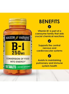 MASON Natural Vitamin B-1, 250 Mg, 100 Tablets  - Image 2