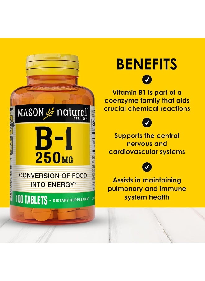 MASON Natural Vitamin B-1, 250 Mg, 100 Tablets  - Image 2