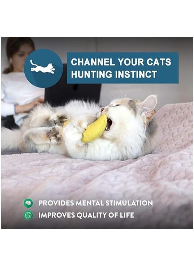 MIRFA - Catnip Filled Banana Toy for Cats - Image 1