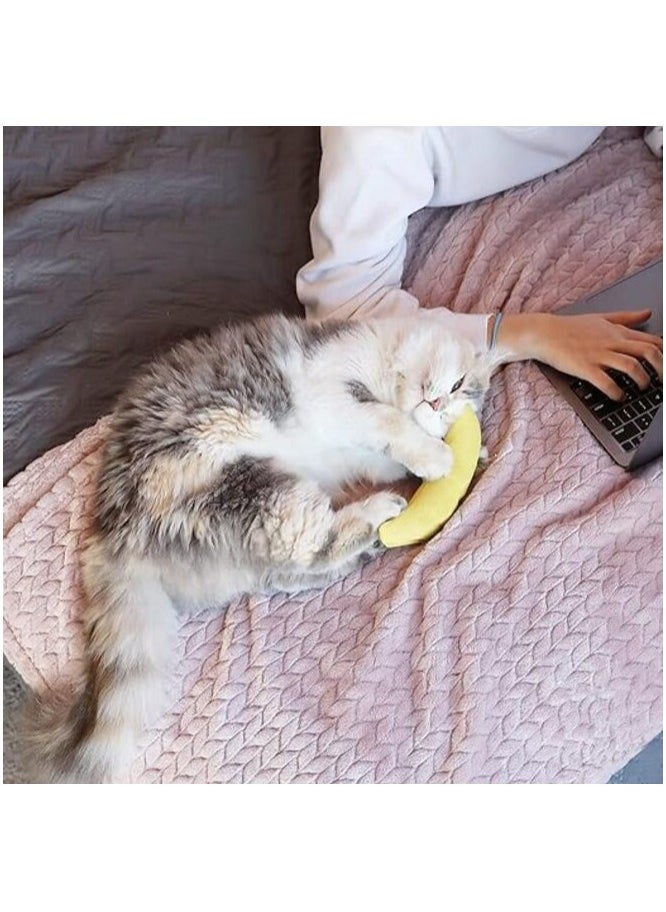 MIRFA - Catnip Filled Banana Toy for Cats - Image 1