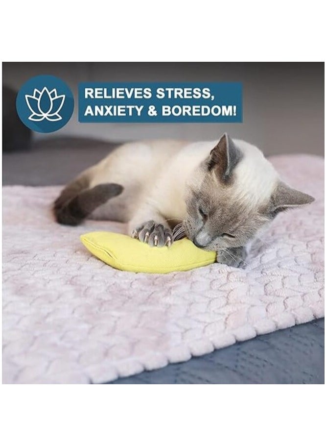 MIRFA - Catnip Filled Banana Toy for Cats - Image 1