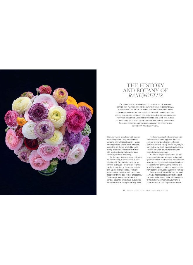 null - Ranunculus: The ultimate flower guide for growing, flowering and cutting varieties for the home and gardening - Image 1