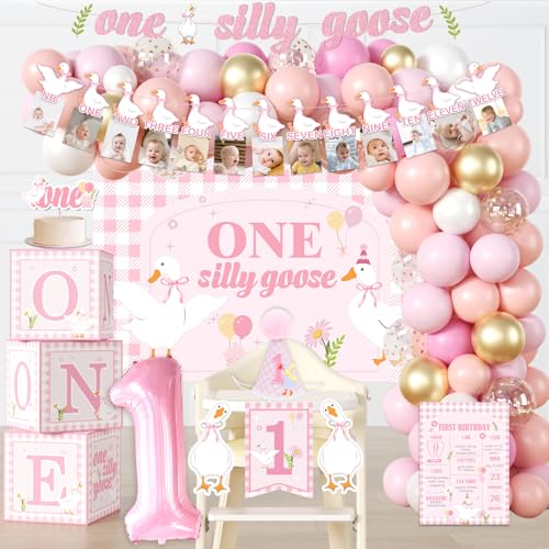 cocomigo One Silly Goose Birthday Decor Girl Goose Balloon Arch NB to 12 Months Photo High Chair Banner Cake Topper Goose Party Backdrop and Crown Goose 1st Birthday Decorations Girl - Image 1