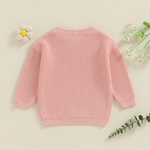 Amnnchya Toddler Infant Baby Girl Knit Sweater Big Sister Little Sister Matching Outfits Long Sleeve Pullover Sweatshirt (Pink, 4 Years) - Image 4