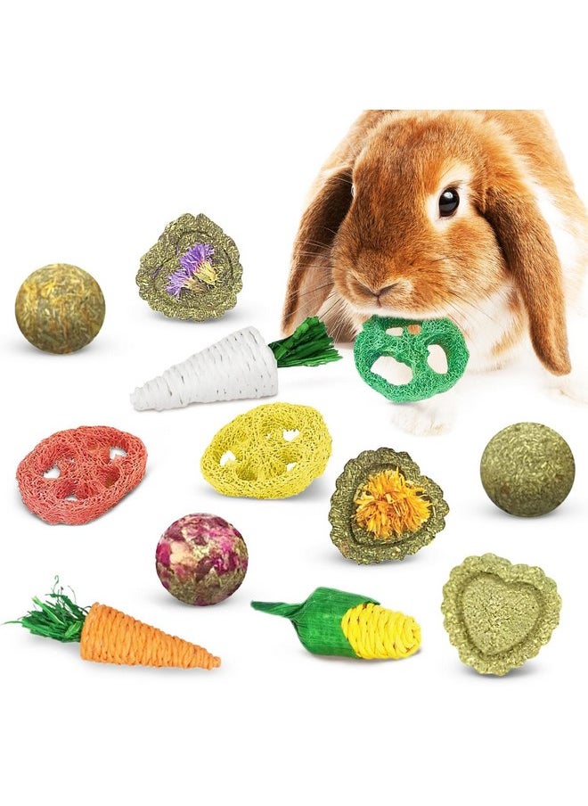 SunGrow Bunny Pocket Bonbons, Adorable Variety of Bonbons, Enticing and Satisfying Textures and Taste, Keeps Teeth Trim and Saves Your Shoes, 12 pcs - pzsku/Z030E814915D1BDF5478FZ/45/_/1737031897/58df5d0b-3f32-4224-8d8b-d874cbbdcd1e