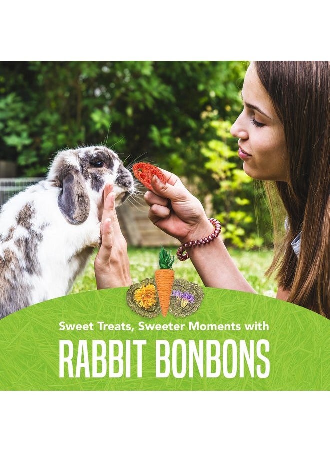 SunGrow Bunny Pocket Bonbons, Adorable Variety of Bonbons, Enticing and Satisfying Textures and Taste, Keeps Teeth Trim and Saves Your Shoes, 12 pcs - pzsku/Z030E814915D1BDF5478FZ/45/_/1737032668/47c4c8a0-838b-4d98-9eb6-c48f5d5276f1