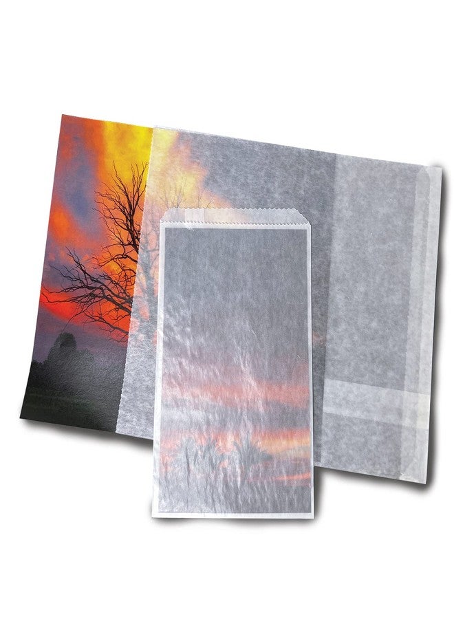 لينيكو مغلفات لاينكو الزجاجية، مقاس 4.25 × 5.25 بوصة، لحفظ الصور والمطبوعات والنيجاتيف. تخزين الطوابع والعملات المعدنية ومستلزمات سكرابوكينغ (عبوة من 100 مغلف). - Image 2