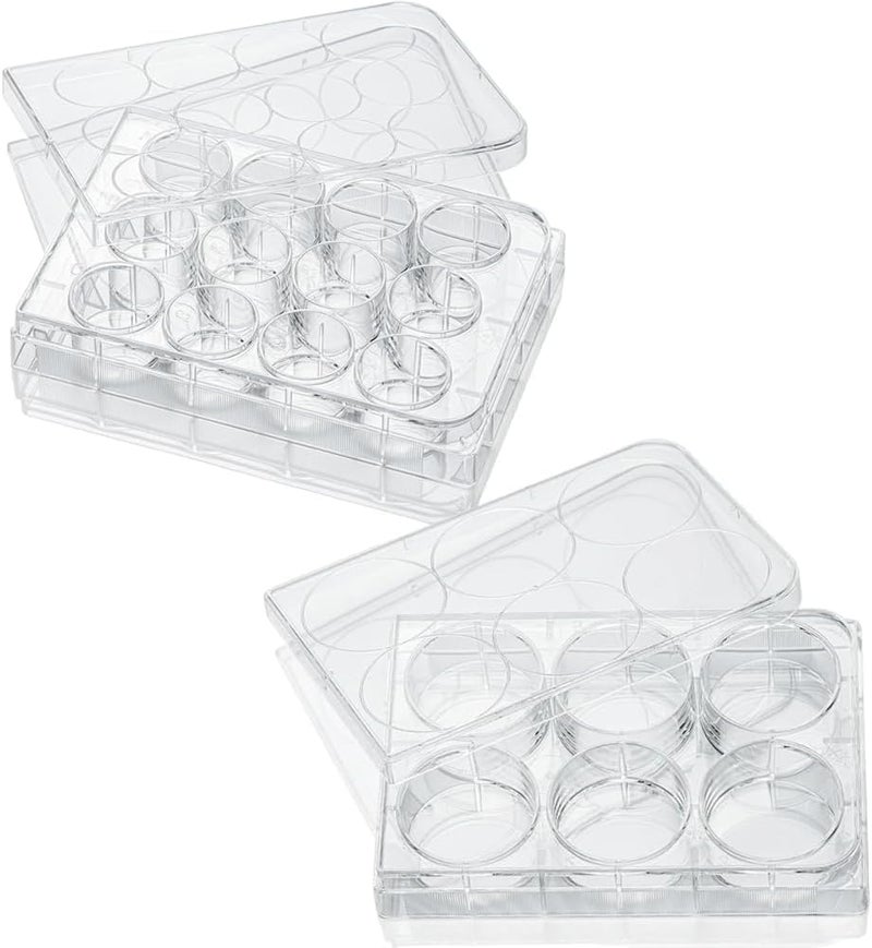 SYOSI Plastic Jewelry Box Organizer, Clear Storage Boxes with 6 and 12 Grids for Earrings, Rings, Bracelets, Necklaces, DIY Crafts, Beads & Small Parts, 2 Pack - Image 1