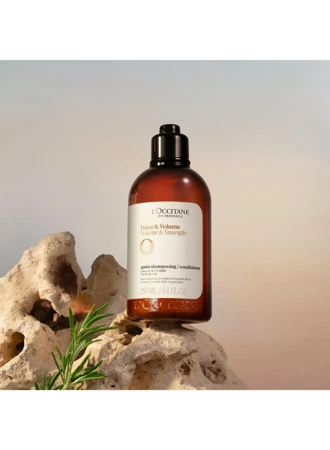 لوكسيتان L'Occitane Volume & Strength Conditioner 500ml